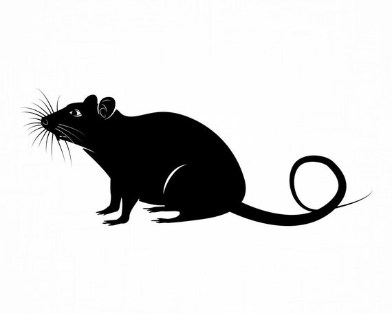 Detail Rat Vector Png Nomer 18