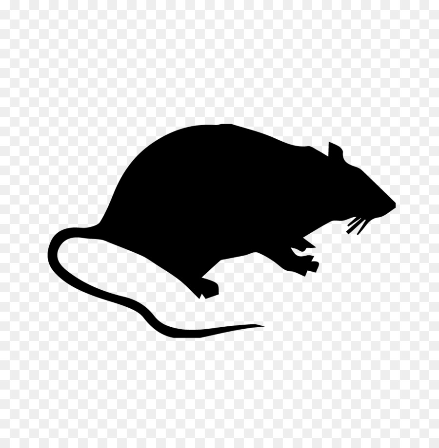 Detail Rat Vector Png Nomer 19