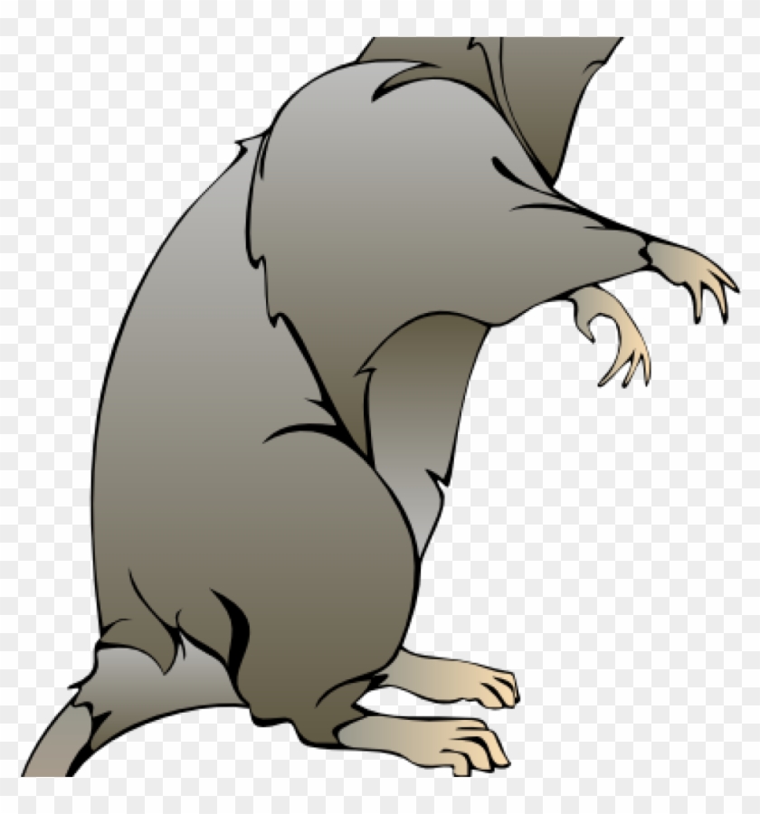 Detail Rat Vector Png Nomer 21