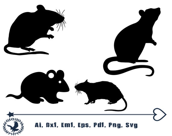 Detail Rat Vector Png Nomer 25