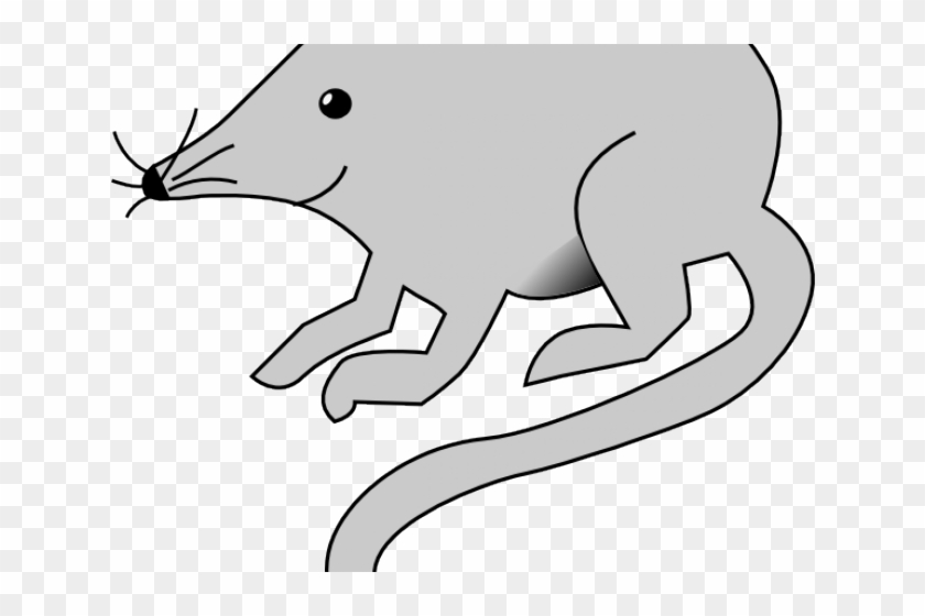 Detail Rat Vector Png Nomer 32