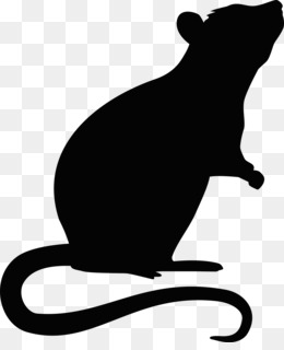 Detail Rat Vector Png Nomer 5