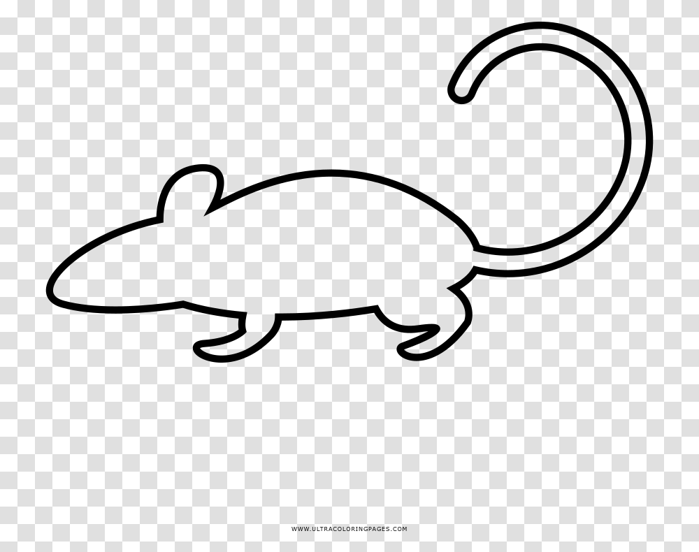 Detail Rat Vector Png Nomer 47