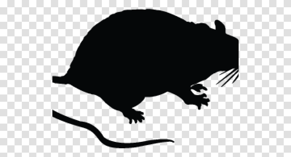 Detail Rat Vector Png Nomer 49