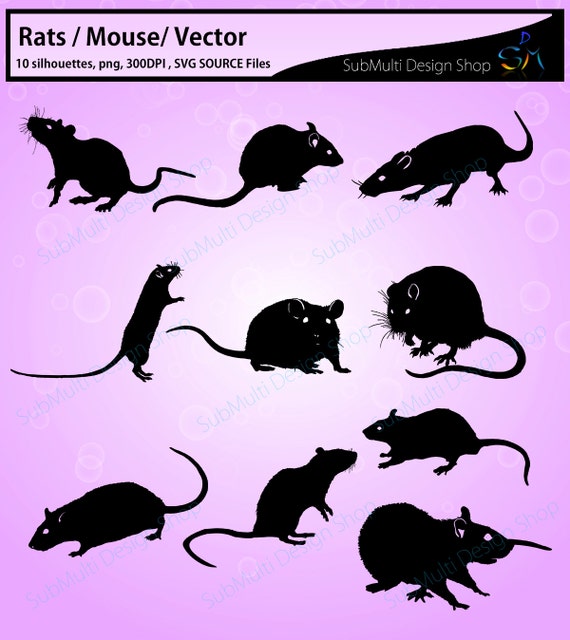 Detail Rat Vector Png Nomer 50