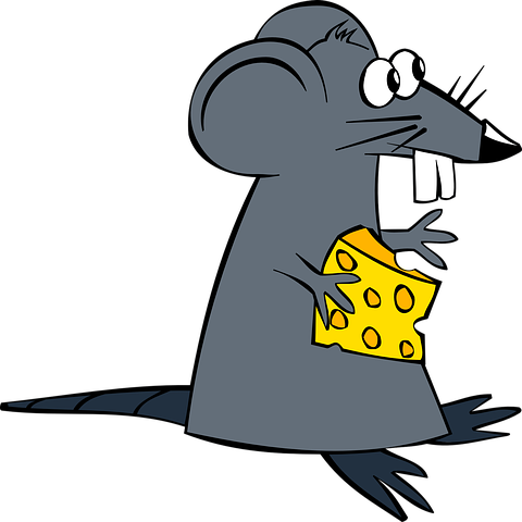 Detail Rat Vector Png Nomer 52