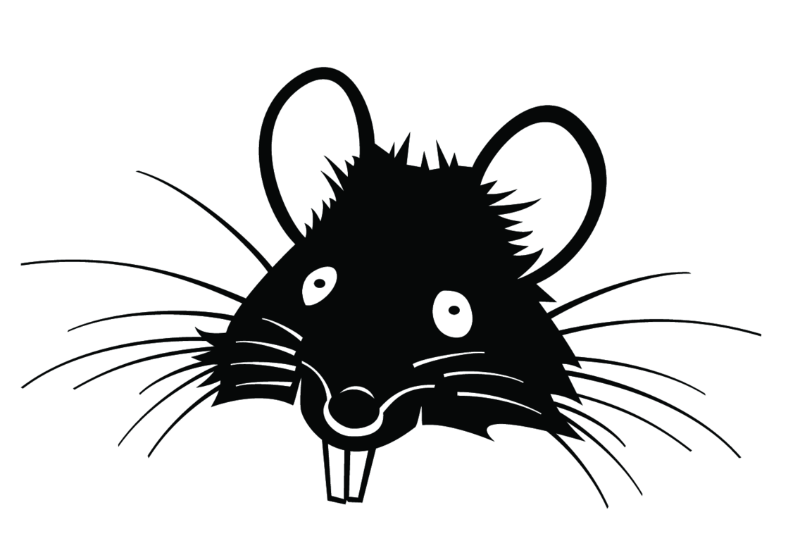 Detail Rat Vector Png Nomer 9