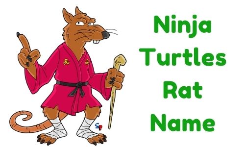 Detail Rats Name From Ninja Turtles Nomer 7