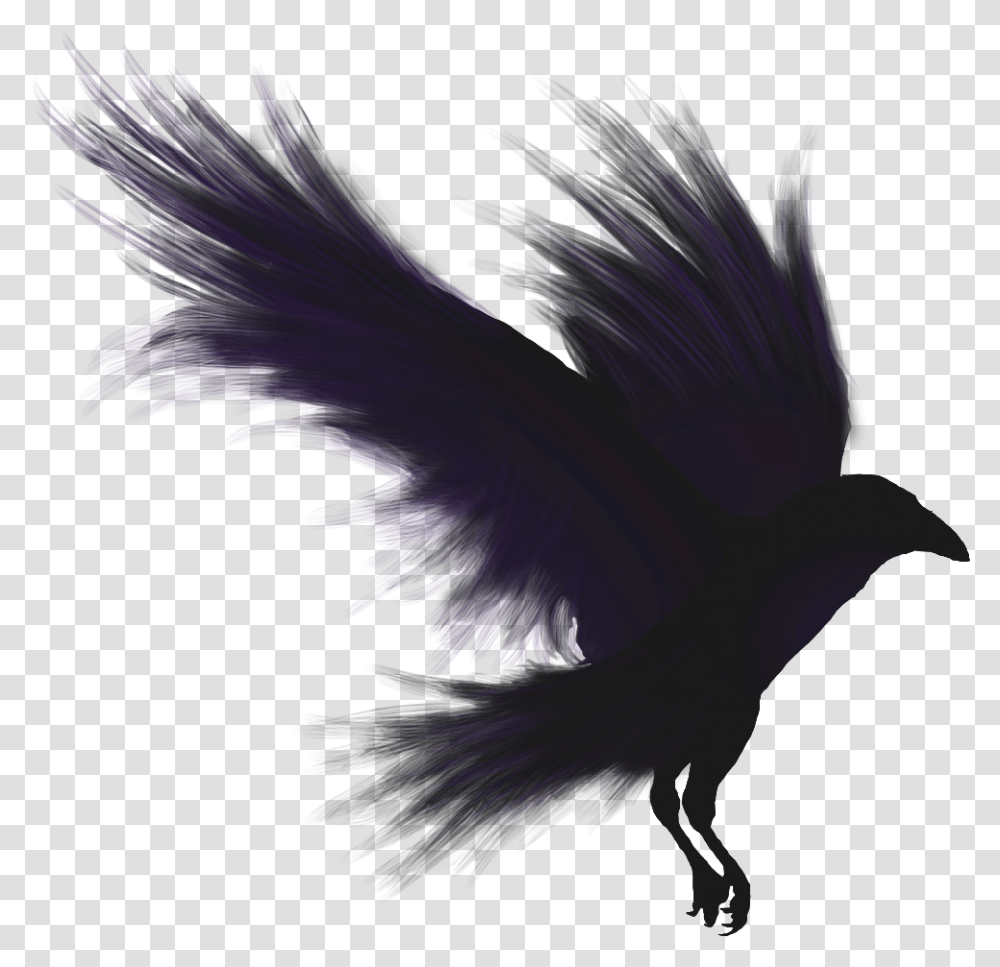 Detail Raven Bird Png Nomer 48