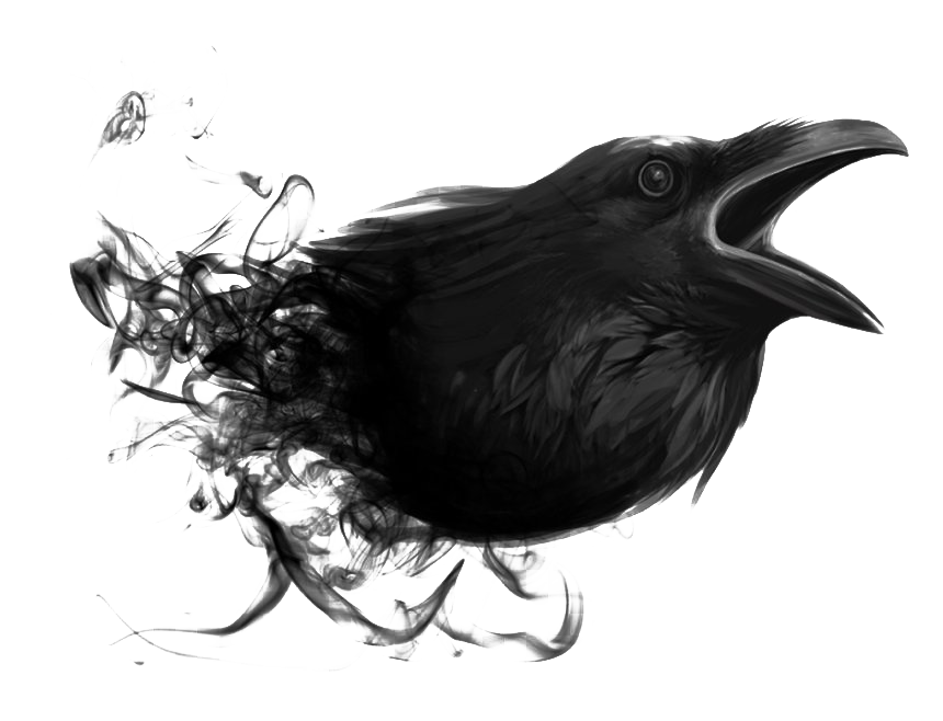 Detail Raven Bird Png Nomer 53