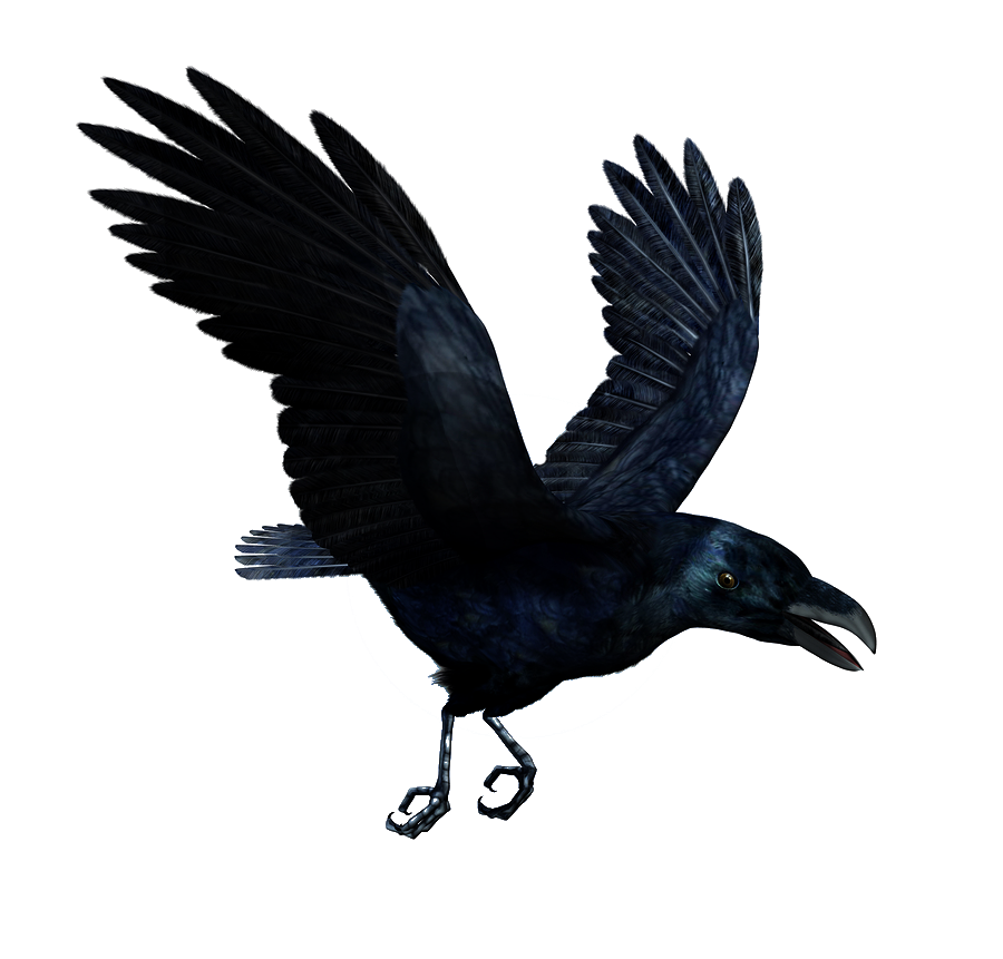 Detail Raven Bird Png Nomer 9