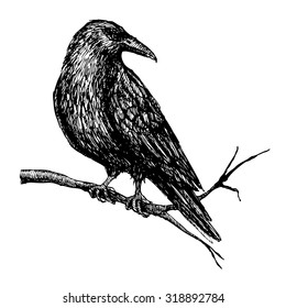 Detail Raven Clipart Nomer 46
