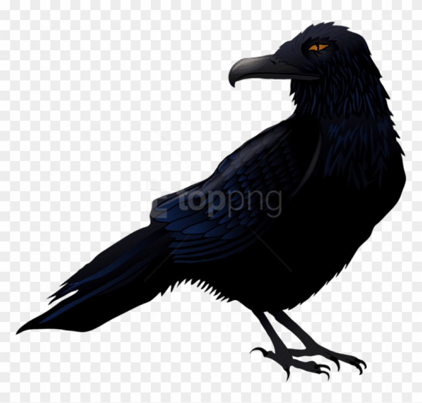 Detail Raven Download Nomer 38