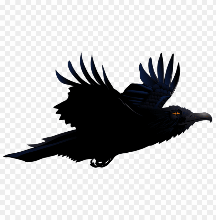 Detail Raven Download Nomer 55