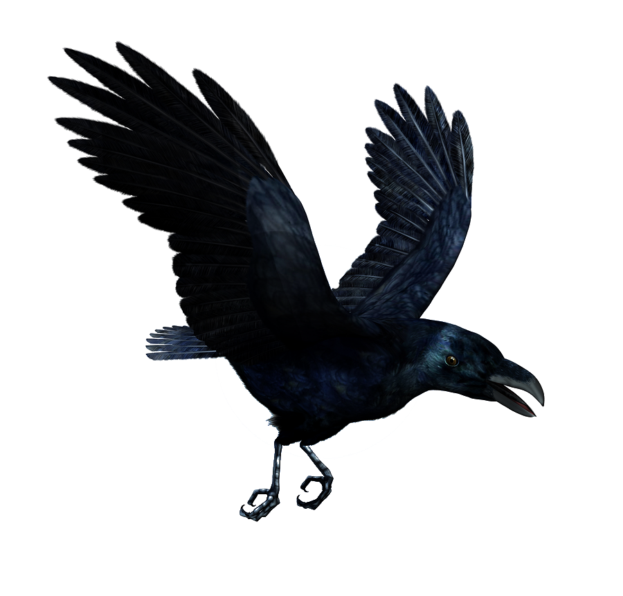 Detail Raven Downloads Nomer 26