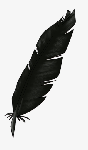 Detail Raven Feather Png Nomer 11