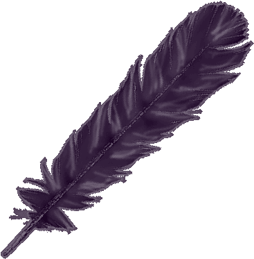 Detail Raven Feather Png Nomer 14