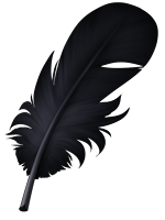 Detail Raven Feather Png Nomer 19