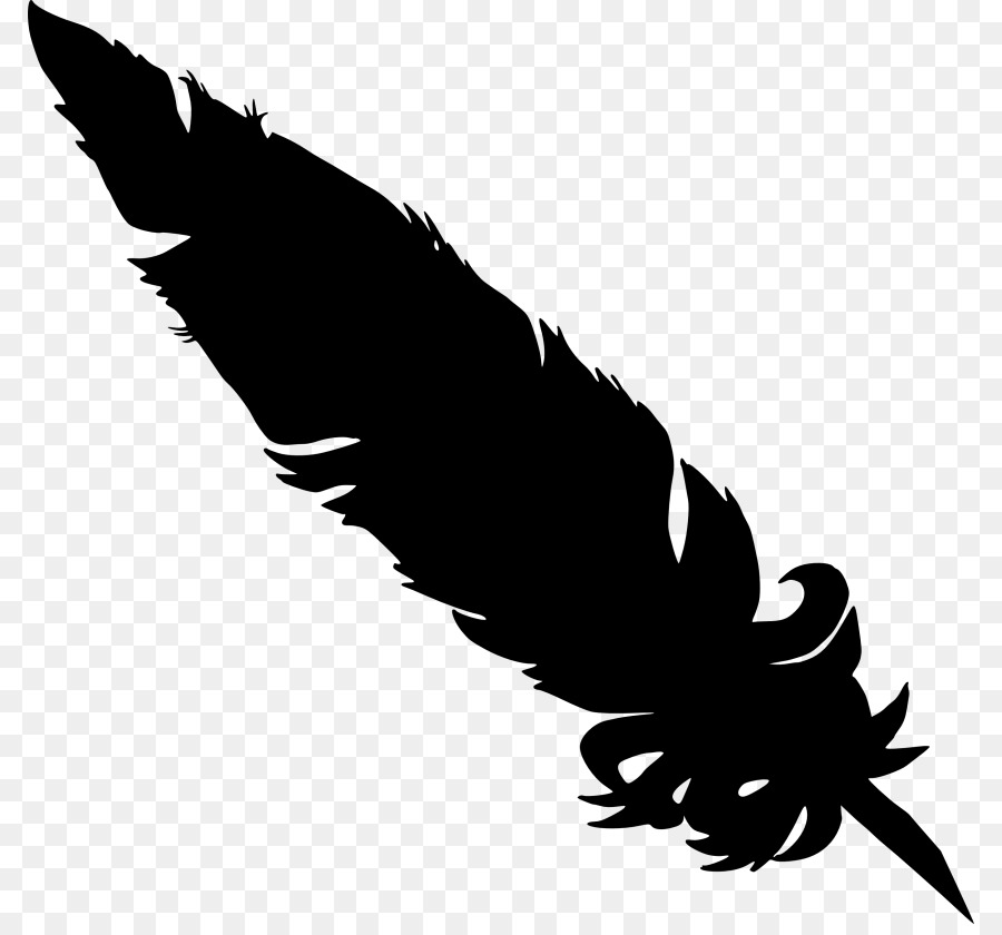 Detail Raven Feather Png Nomer 20