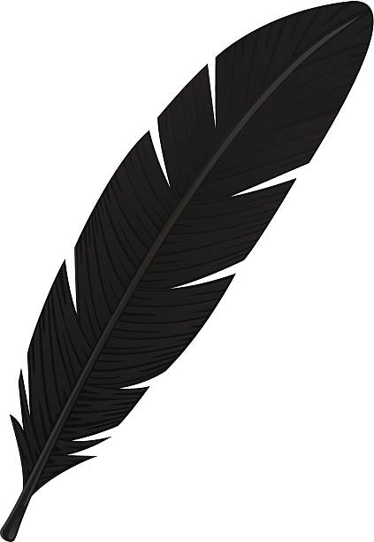 Raven Feather Vector - KibrisPDR