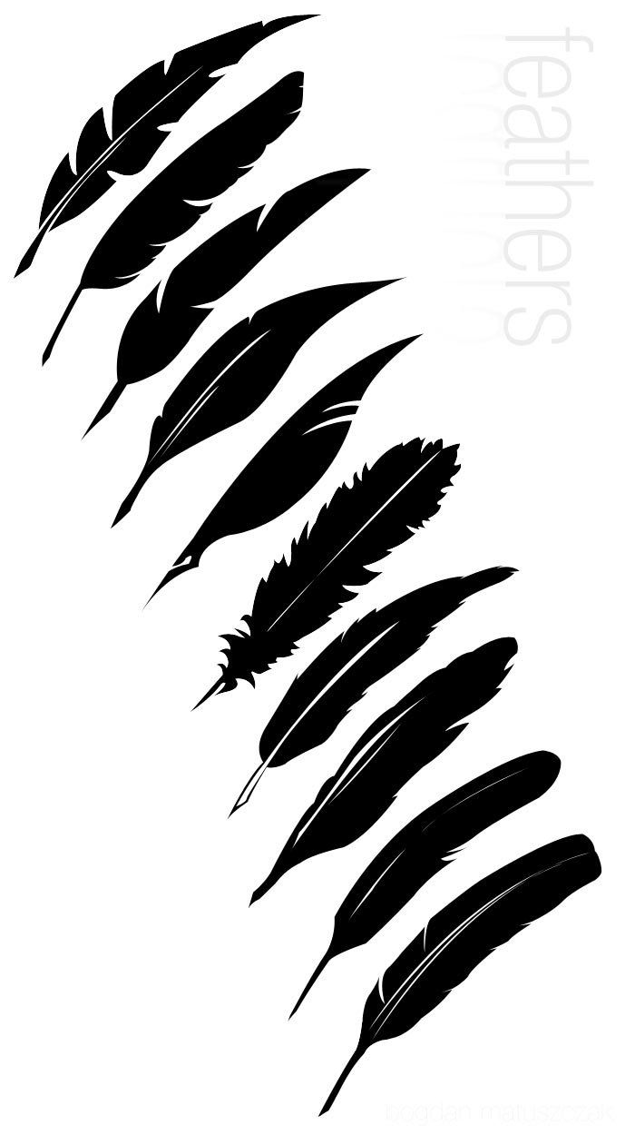 Detail Raven Feather Vector Nomer 13