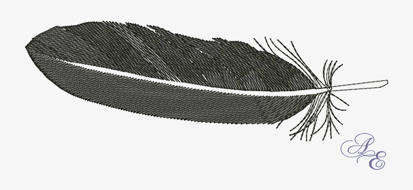 Detail Raven Feather Vector Nomer 14