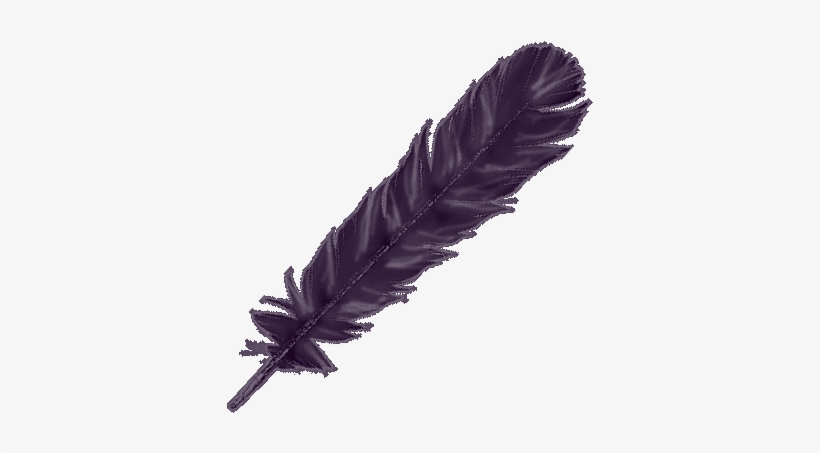 Detail Raven Feather Vector Nomer 15