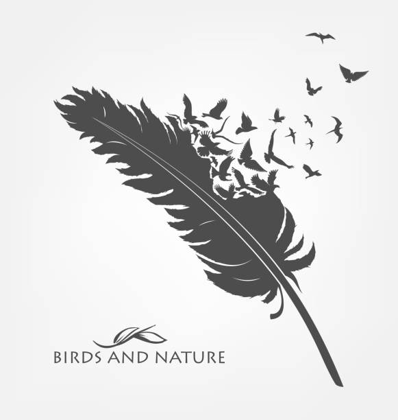 Detail Raven Feather Vector Nomer 18