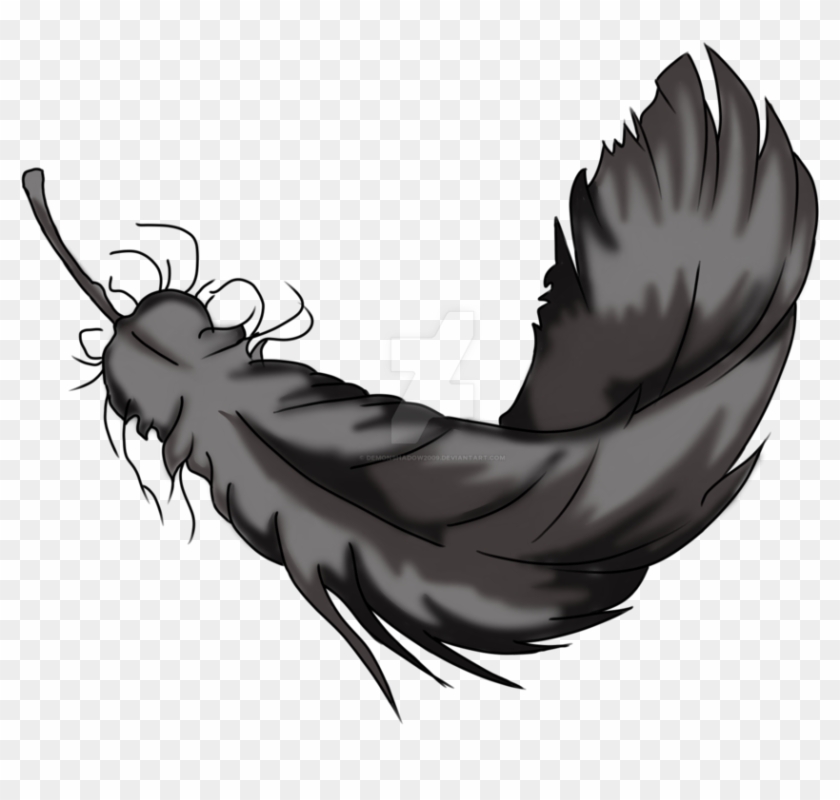 Detail Raven Feather Vector Nomer 20