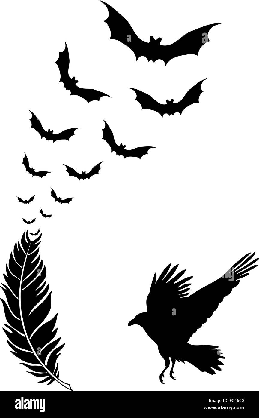 Detail Raven Feather Vector Nomer 23