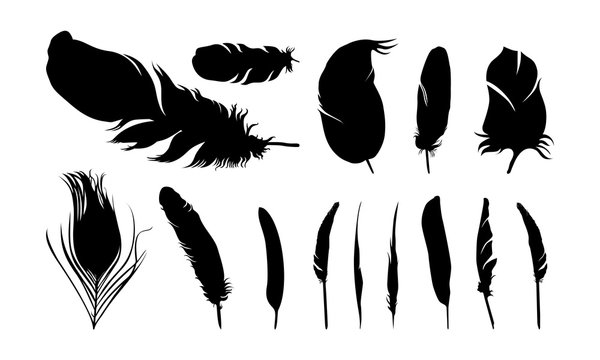Detail Raven Feather Vector Nomer 4
