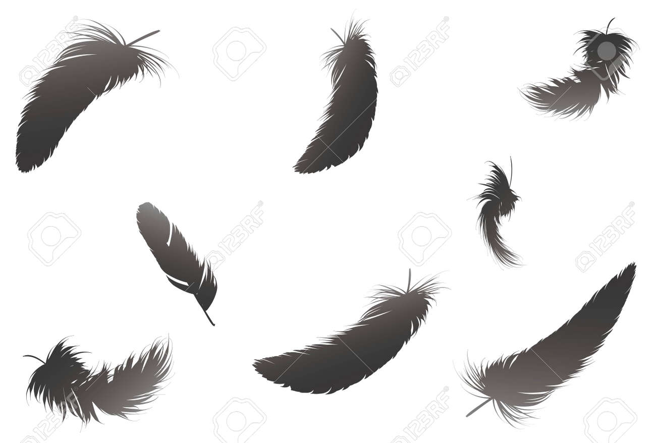 Detail Raven Feather Vector Nomer 27