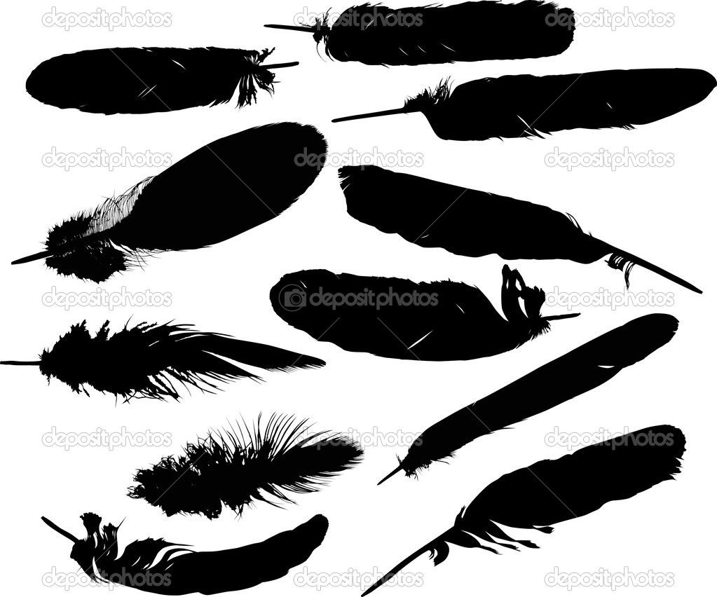 Detail Raven Feather Vector Nomer 28
