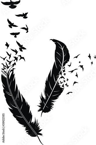 Detail Raven Feather Vector Nomer 31