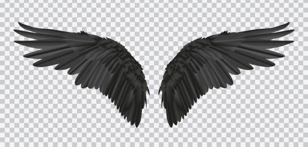 Detail Raven Feather Vector Nomer 34