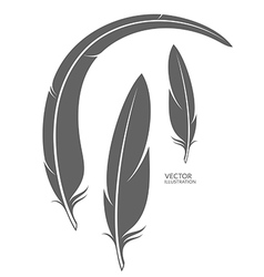 Detail Raven Feather Vector Nomer 5