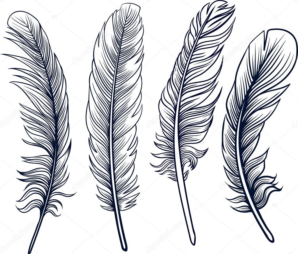 Detail Raven Feather Vector Nomer 37