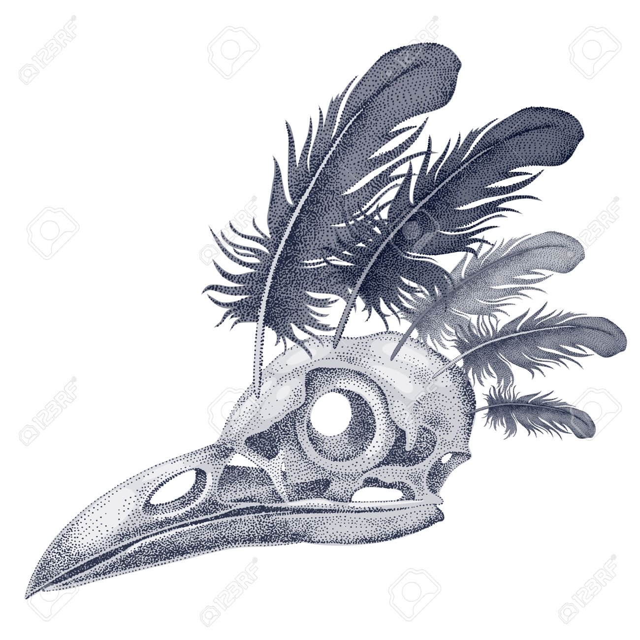 Detail Raven Feather Vector Nomer 39
