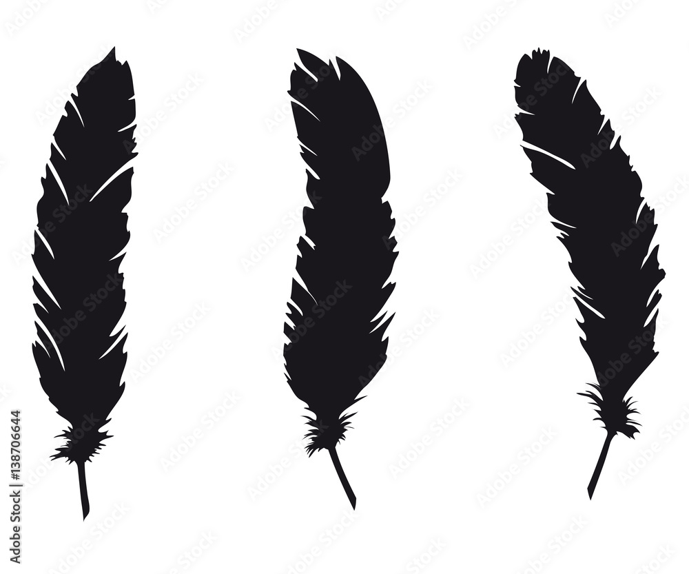 Detail Raven Feather Vector Nomer 6