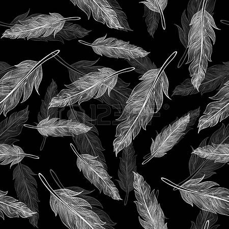 Detail Raven Feather Vector Nomer 47
