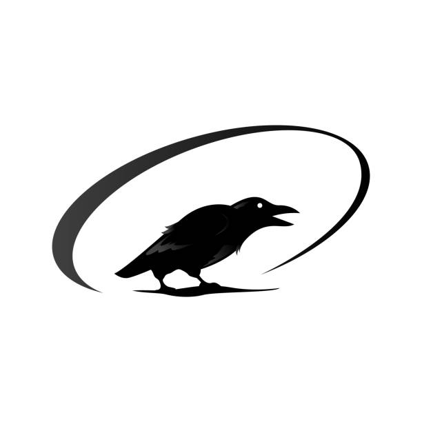 Detail Raven Feather Vector Nomer 51