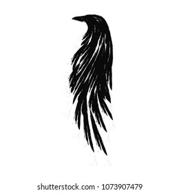 Detail Raven Feather Vector Nomer 52