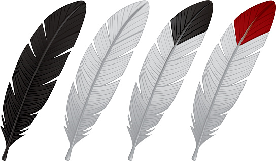 Detail Raven Feather Vector Nomer 54