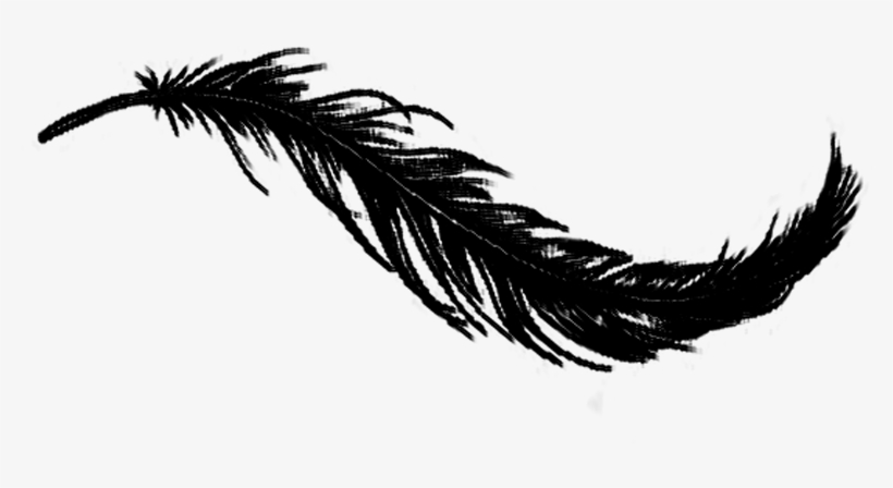 Detail Raven Feather Vector Nomer 7