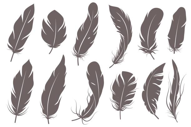 Detail Raven Feather Vector Nomer 8