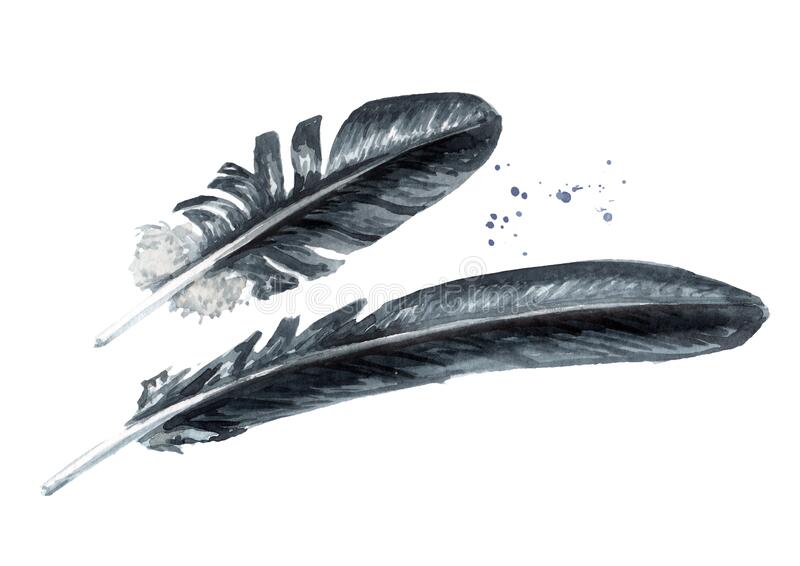 Detail Raven Feather Vector Nomer 9