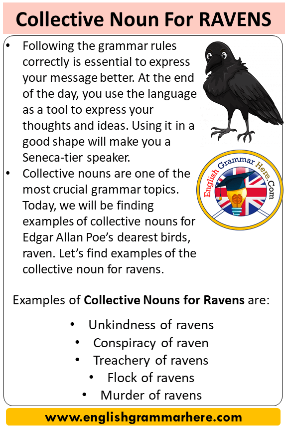 Detail Raven Flock Name Nomer 8
