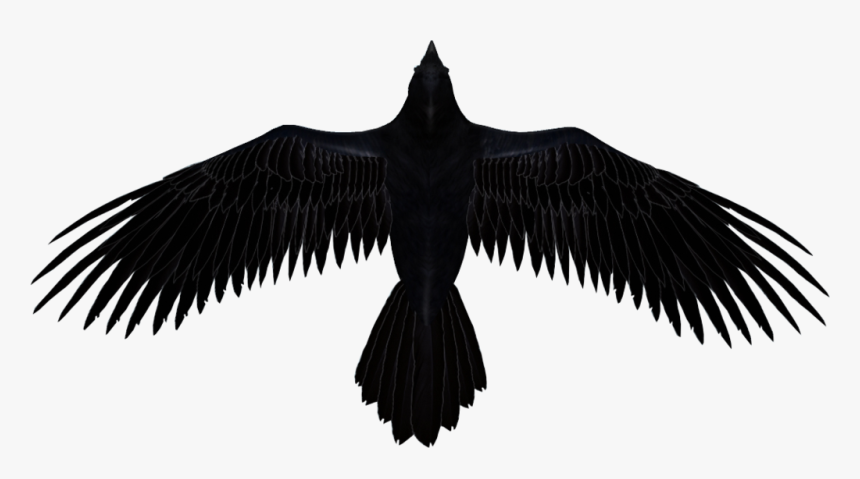 Detail Raven Flying Png Nomer 13