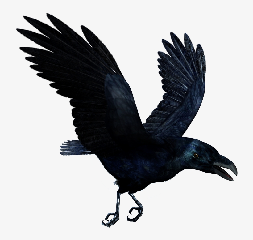 Detail Raven Flying Png Nomer 5