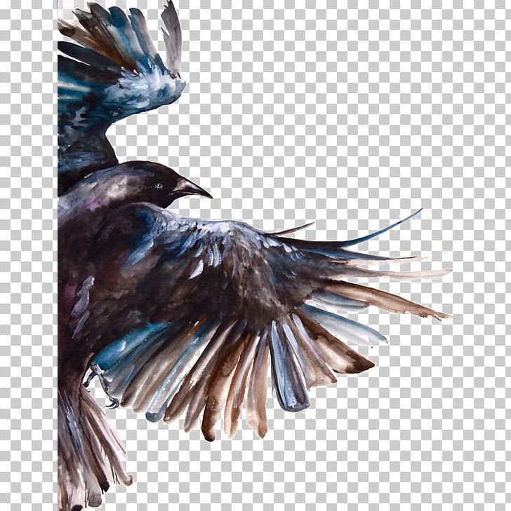 Detail Raven Flying Png Nomer 46